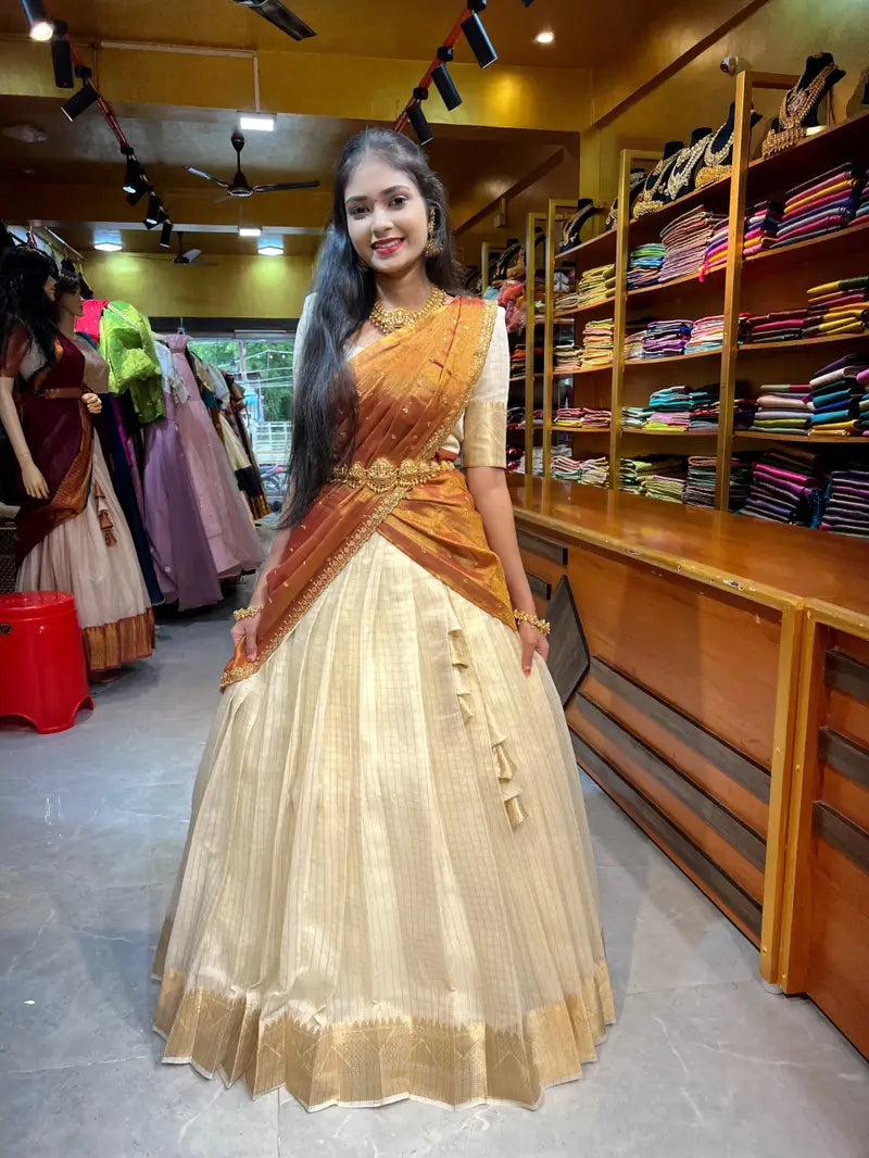 Trendy Brown Lehenga Choli With Canvas Patta