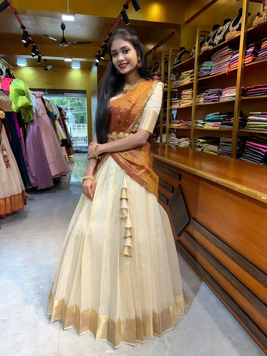 Trendy Brown Lehenga Choli With Canvas Patta