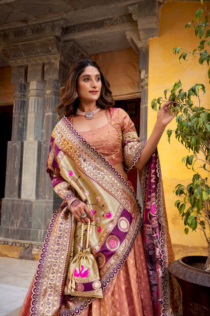 Shimmer Organza Lehenga Choli With Zari Weaving
