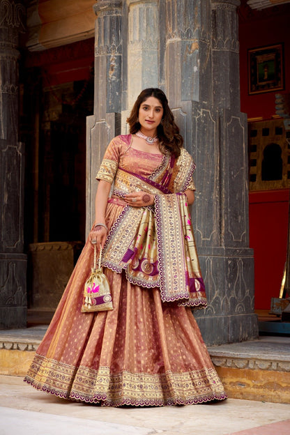 Shimmer Organza Lehenga Choli With Zari Weaving
