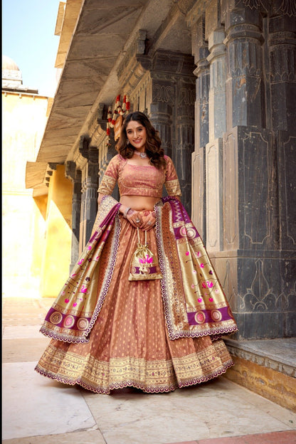 Shimmer Organza Lehenga Choli With Zari Weaving