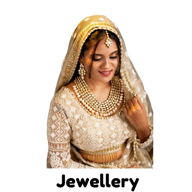 Flynker | Official Website | Ethnic & Festive Wear 5 Lehenga_20241112_170857_0009