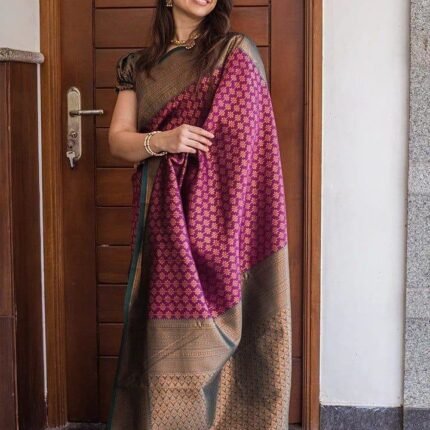 EXCLUSIVE JACQUARD BORDER SAREE